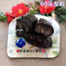 澳州小黑参-海参- 500g 约80头